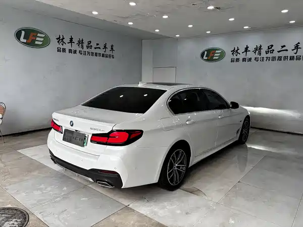 BMW 5 Series New Energy 2022