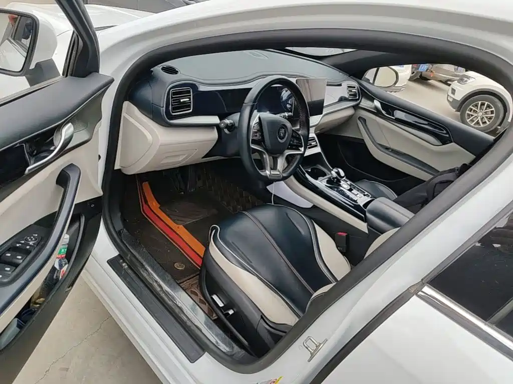 BYD Qin PLUS 2023 — фото 12