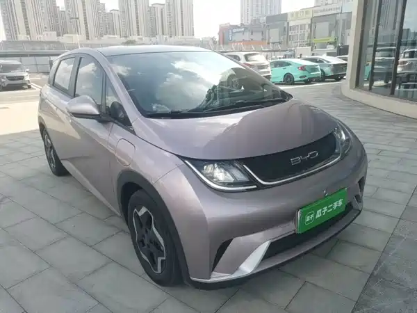 BYD Dolphin 2022