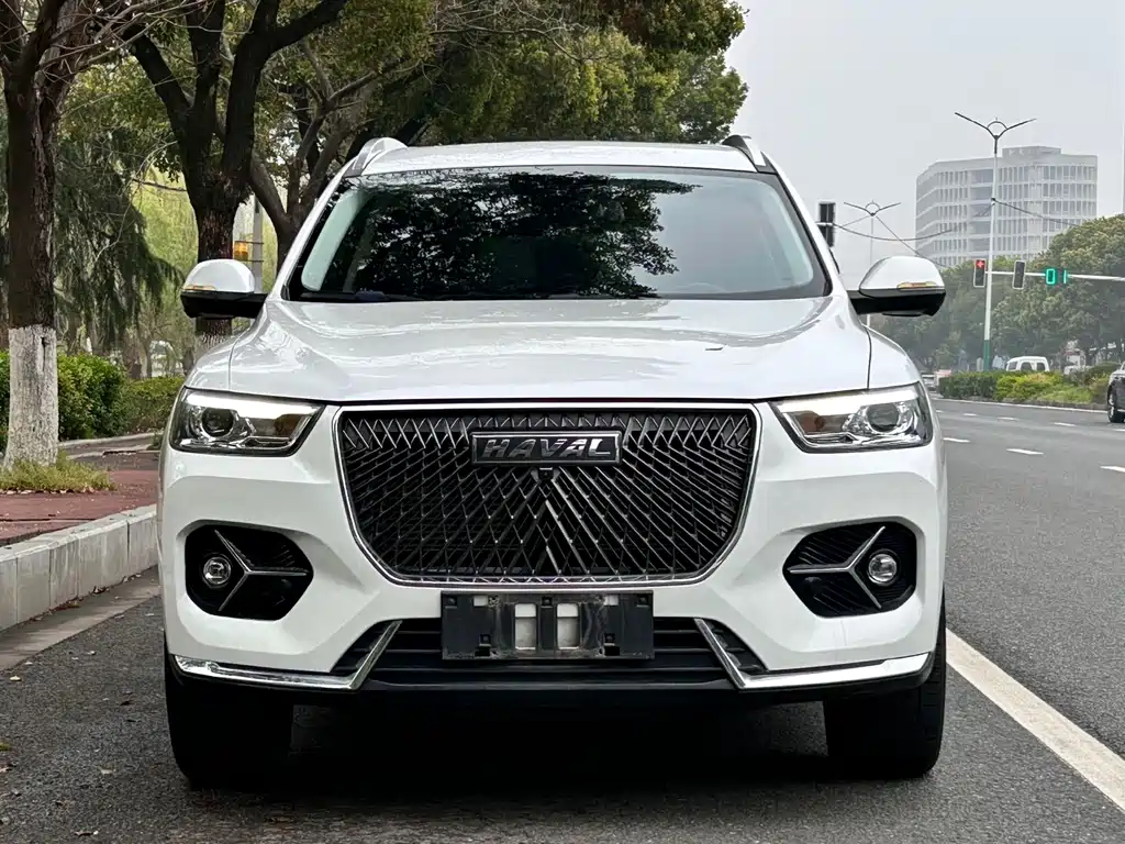 Haval H6 2021 — фото 2