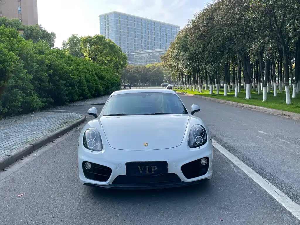 Porsche Cayman 2015