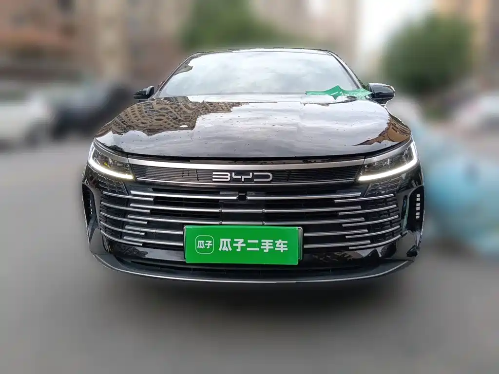 BYD Destroyer 05 2024 — фото 24