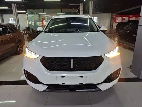Wey VV6 2019