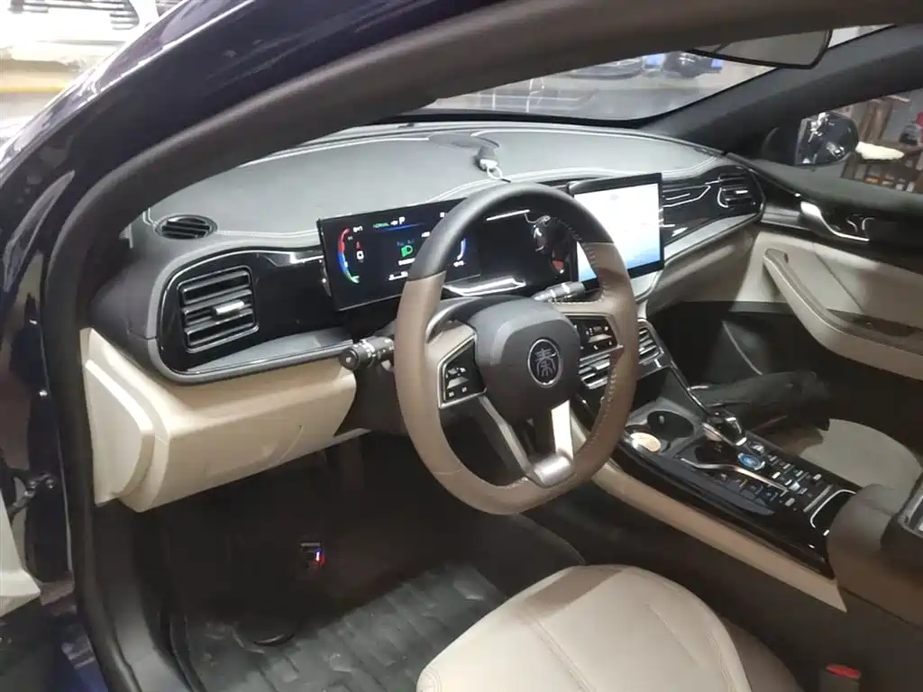 BYD Qin PLUS 2023 — фото 10