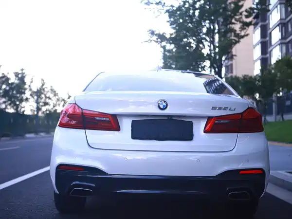 BMW 5 Series 2019