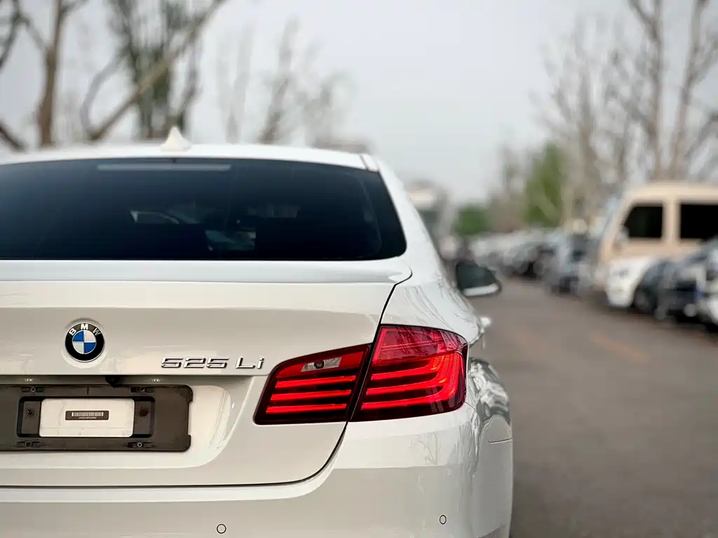 BMW 5 Series 2015 — фото 34