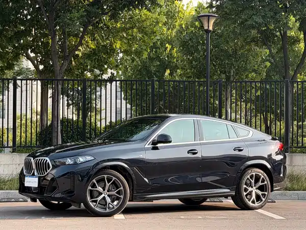 BMW X6 2025