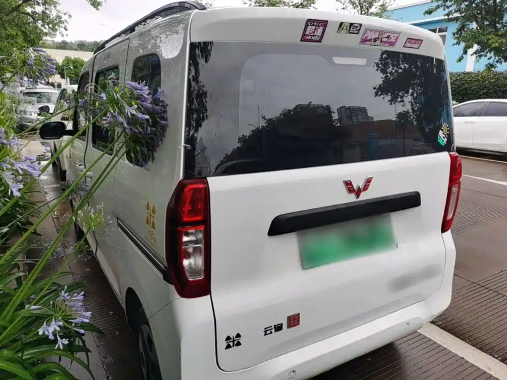 Wuling Zhiguang New Energy 2025