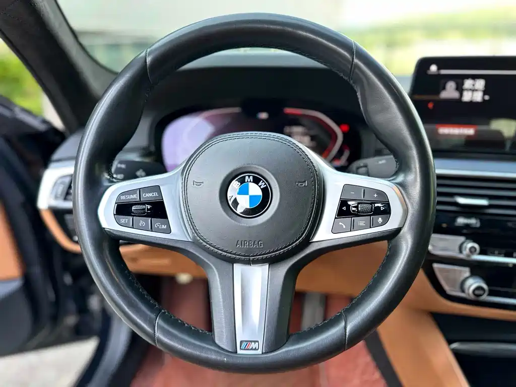 BMW 5 Series 2021