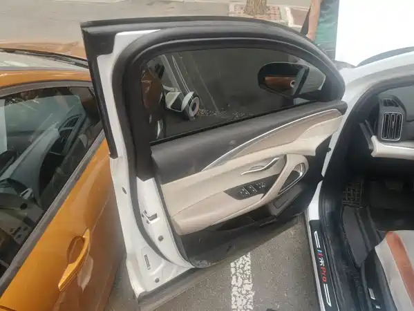 BYD Song Pro New Energy 2024