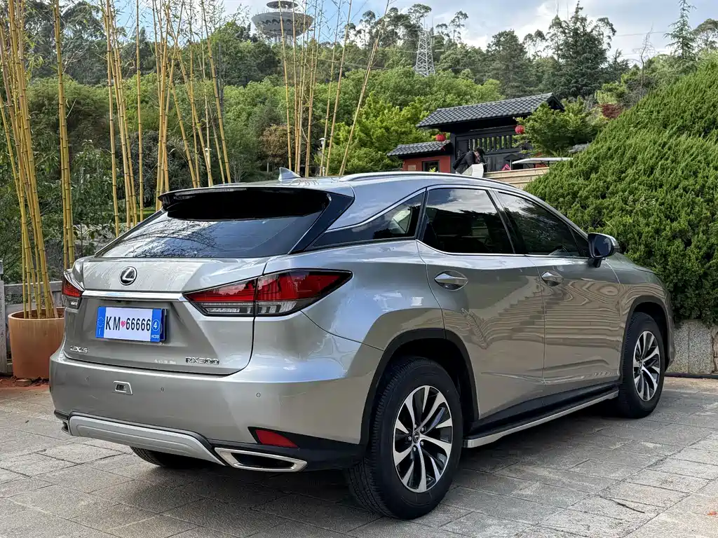 Lexus RX 2022 — фото 10
