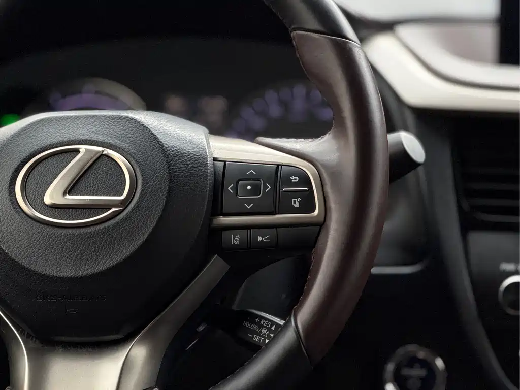 Lexus RX 2017 — фото 17