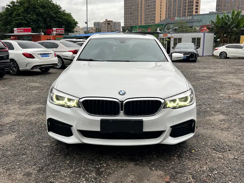 BMW 5 Series 2019 — фото 1