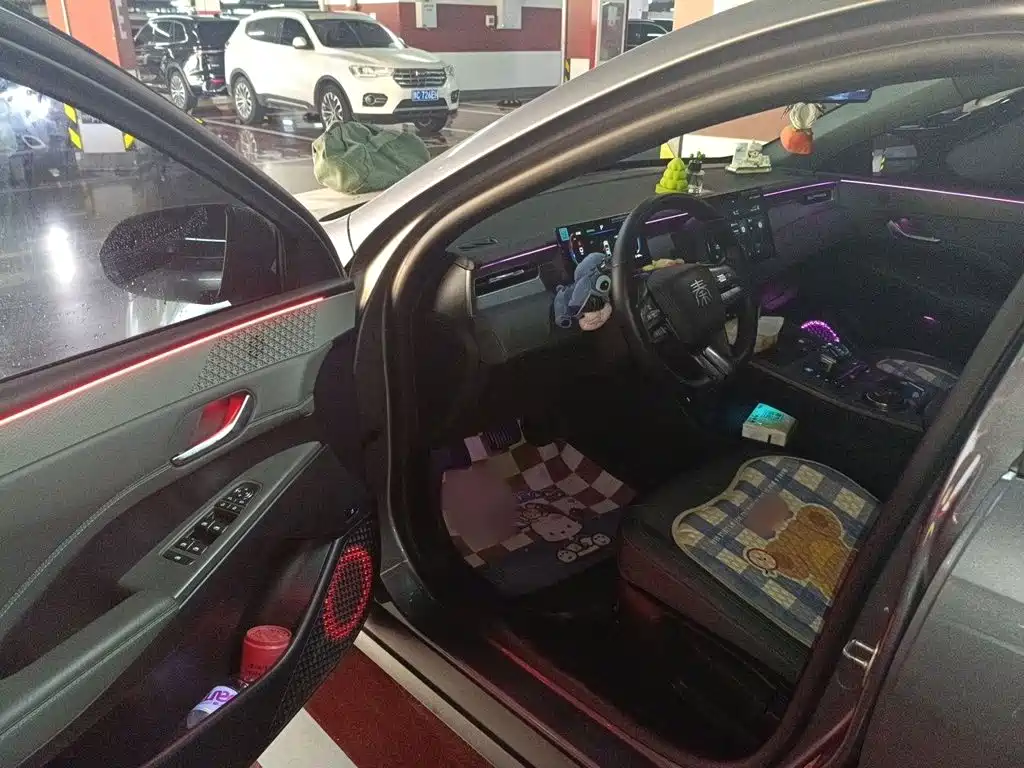 BYD Qin PLUS 2025 — фото 14