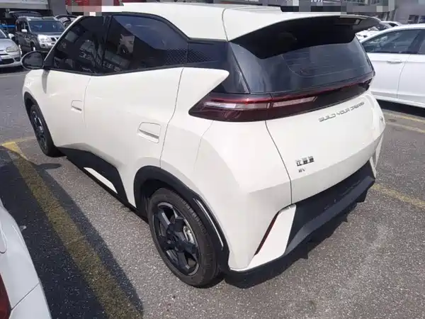 BYD Seagull 2024
