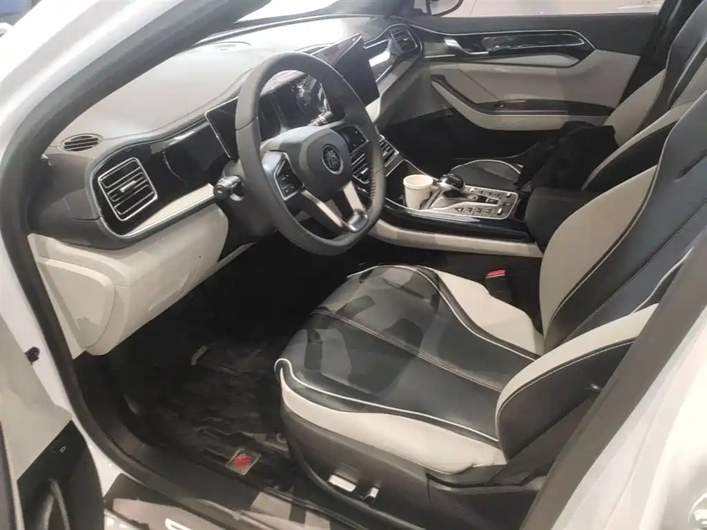BYD Qin PLUS 2021 — фото 15