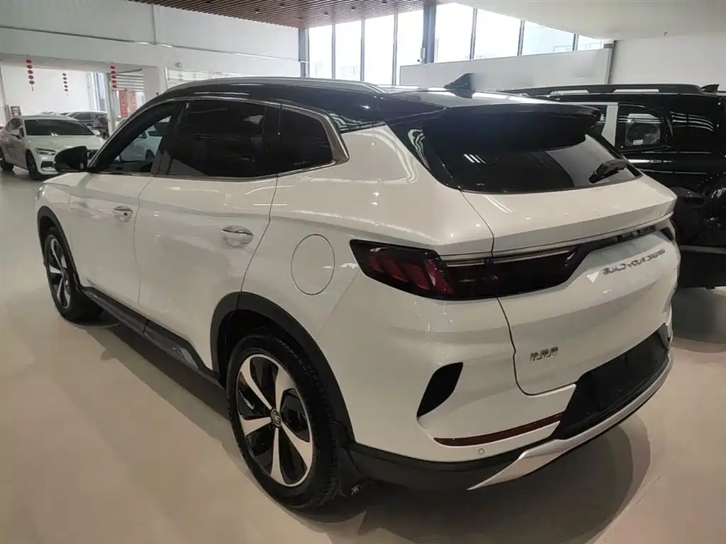 BYD PLUS New Energy 2022 — фото 5