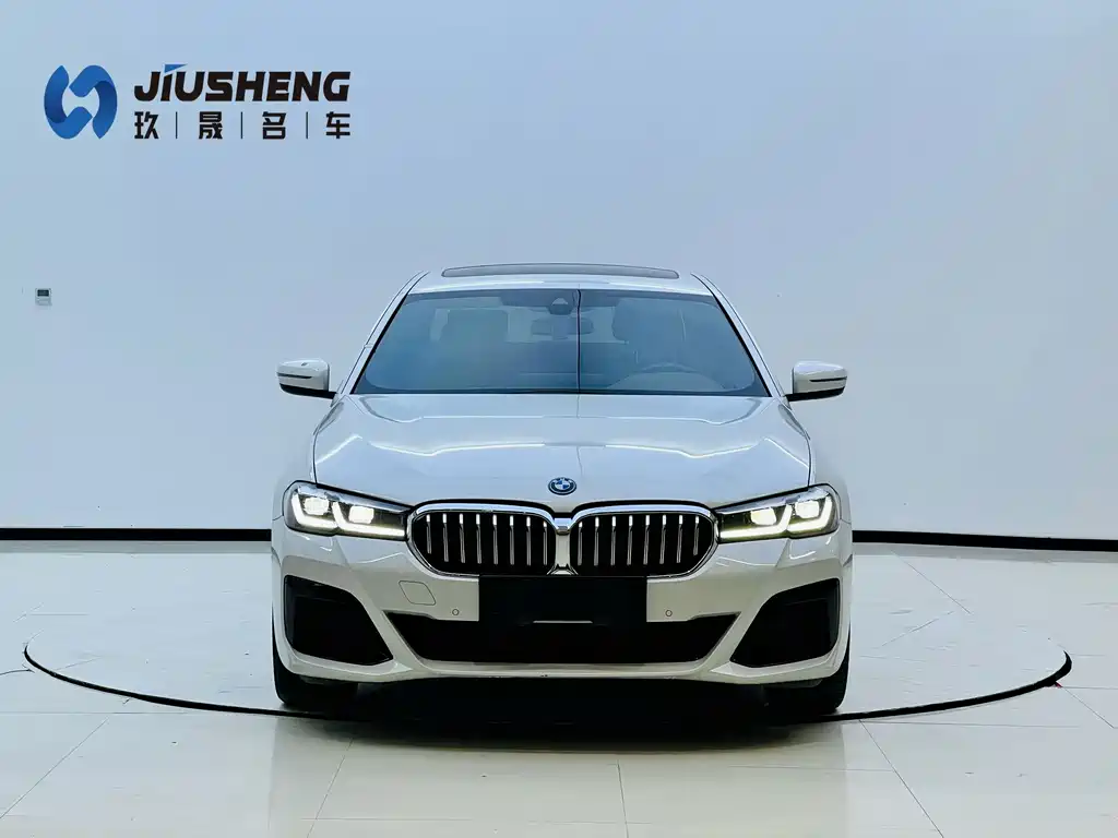 BMW 5 Series New Energy 2022