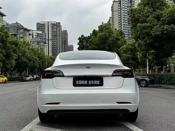 Tesla Model 3 2021