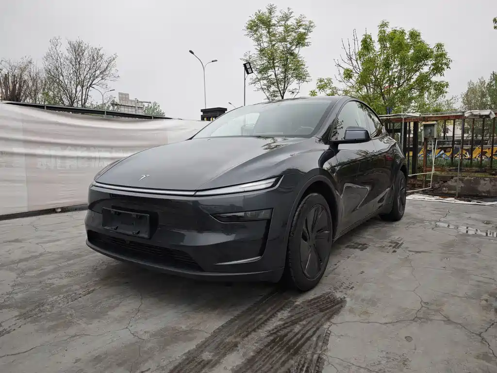 Tesla Model Y 2025 — фото 1