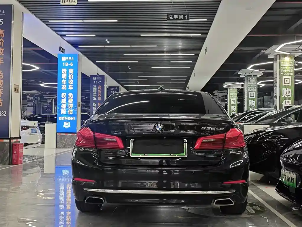 BMW 5 Series New Energy 2019
