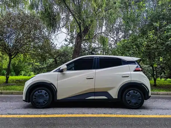 BYD Seagull 2024