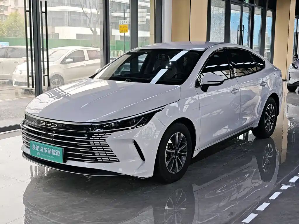 BYD Destroyer 05 2024 — фото 1