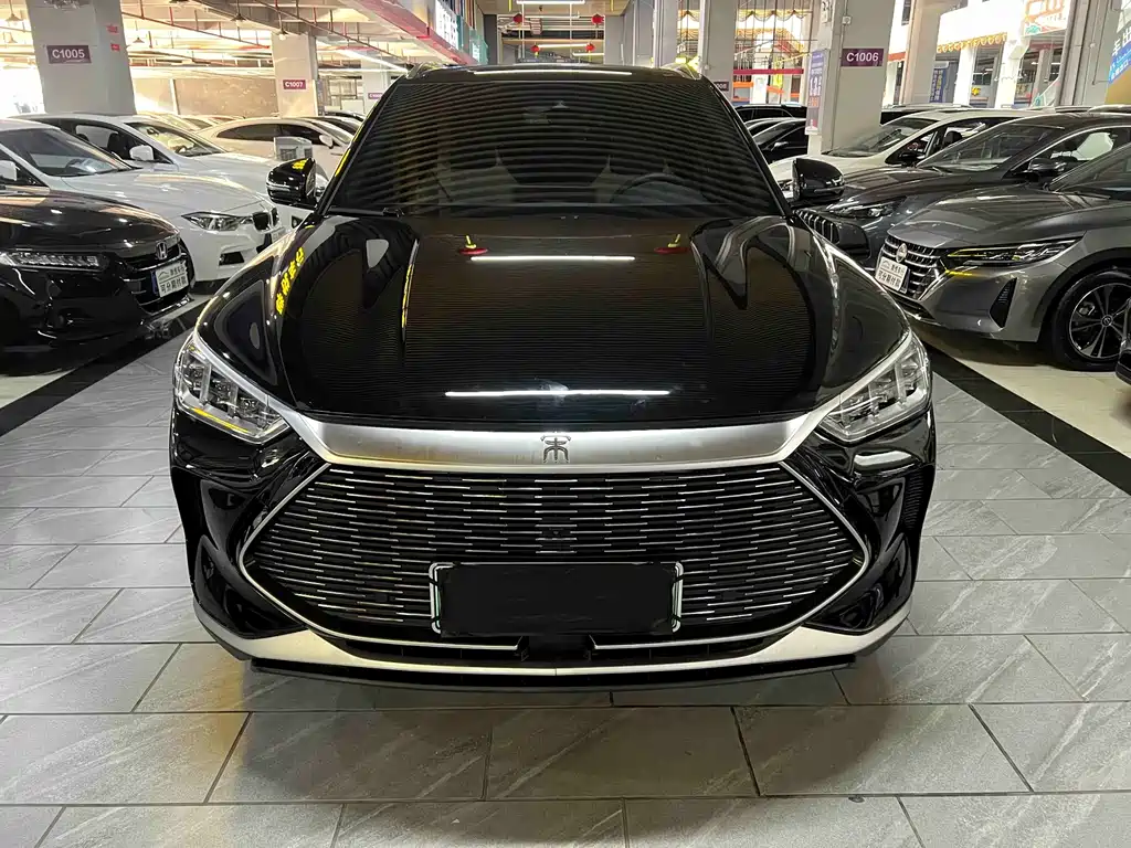 BYD Song PLUS New Energy 2023 — фото 1