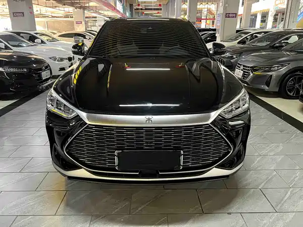 BYD Song PLUS New Energy 2023