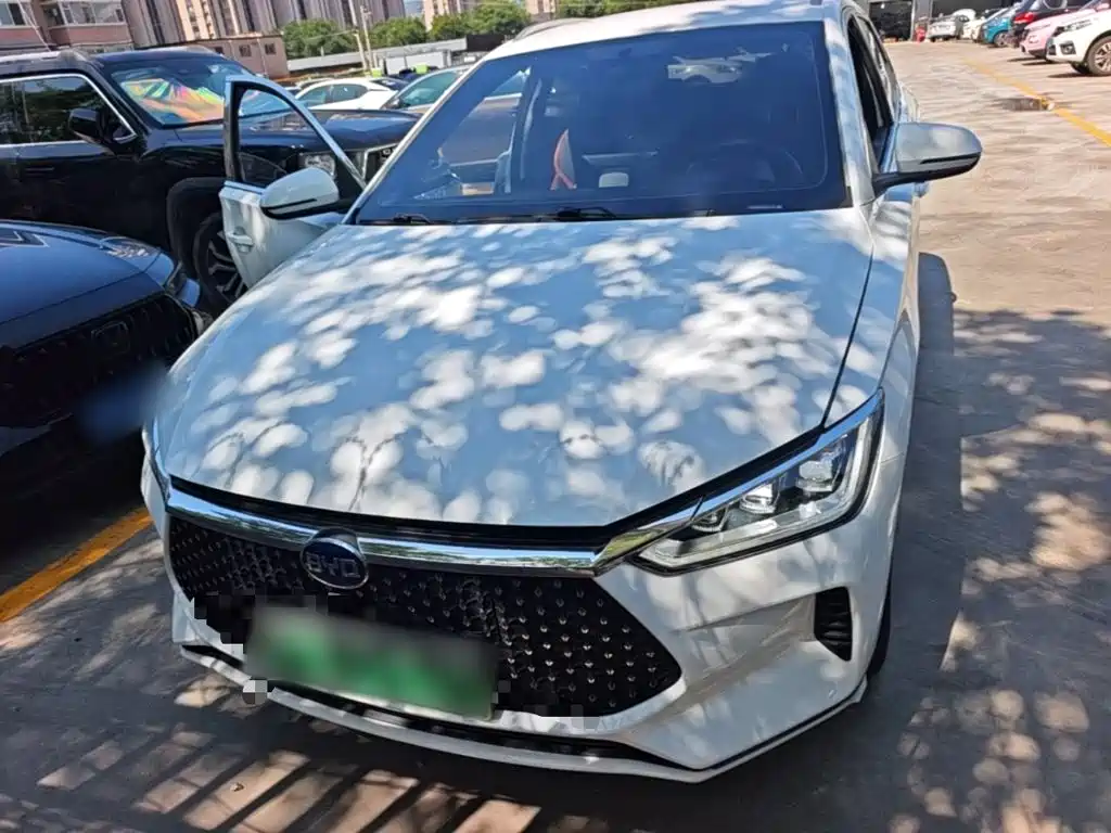 BYD e2 2021