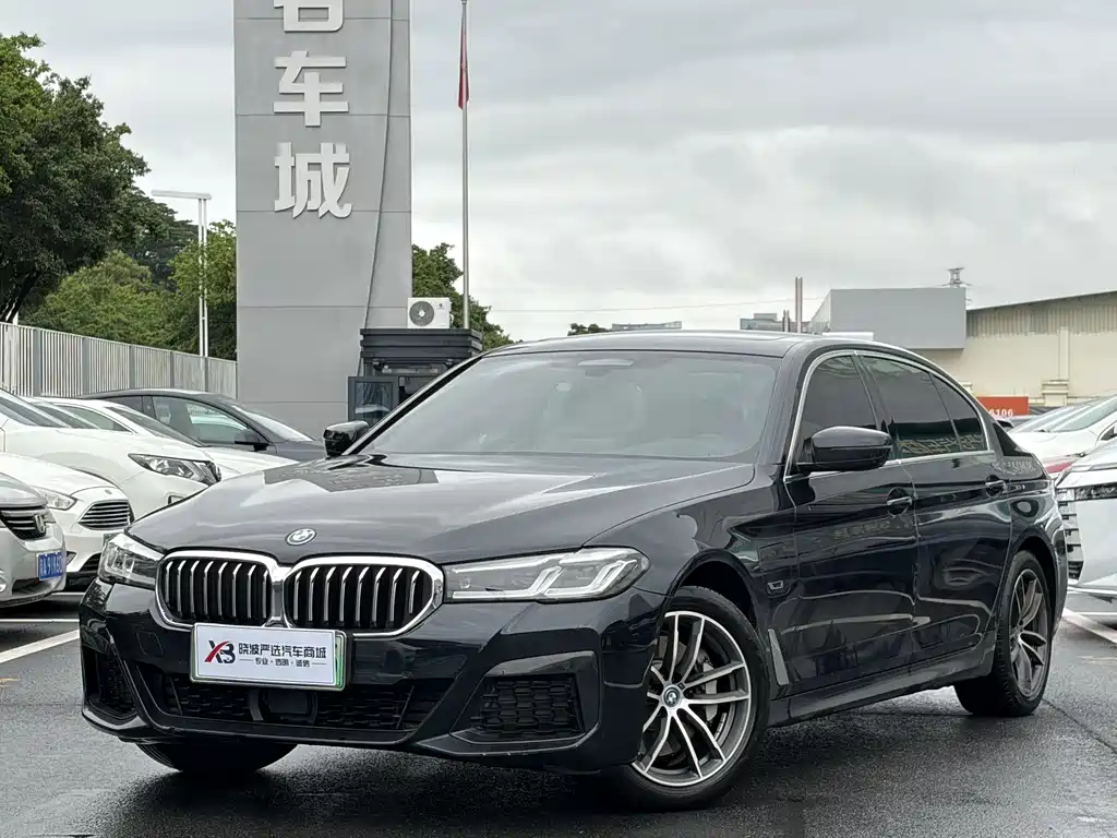 BMW 5 Series New Energy 2022