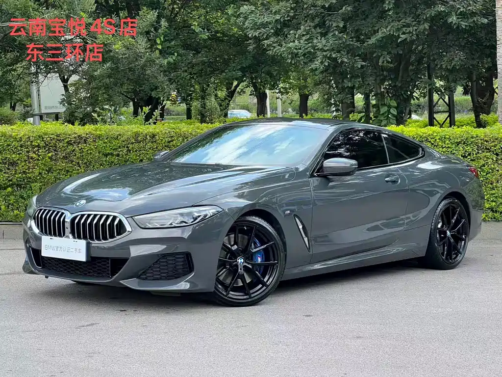BMW 8 Series 2021 — фото 1