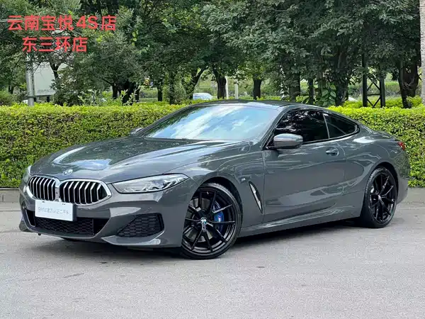 BMW 8 Series 2021