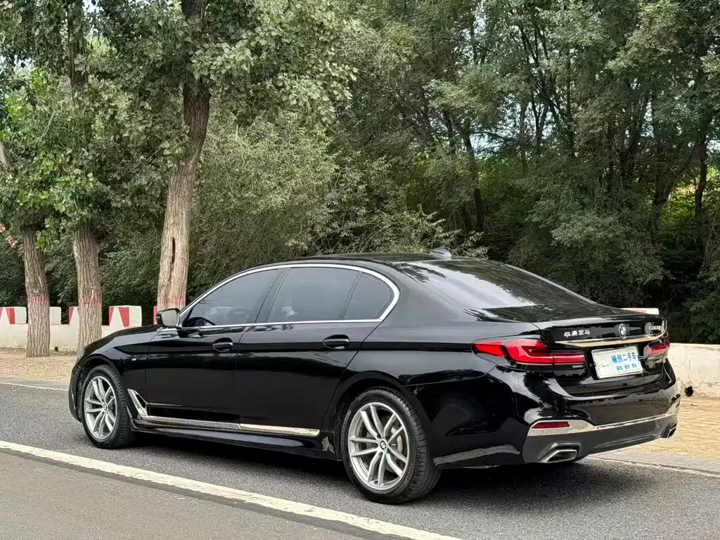 BMW 5 Series 2019 — фото 8