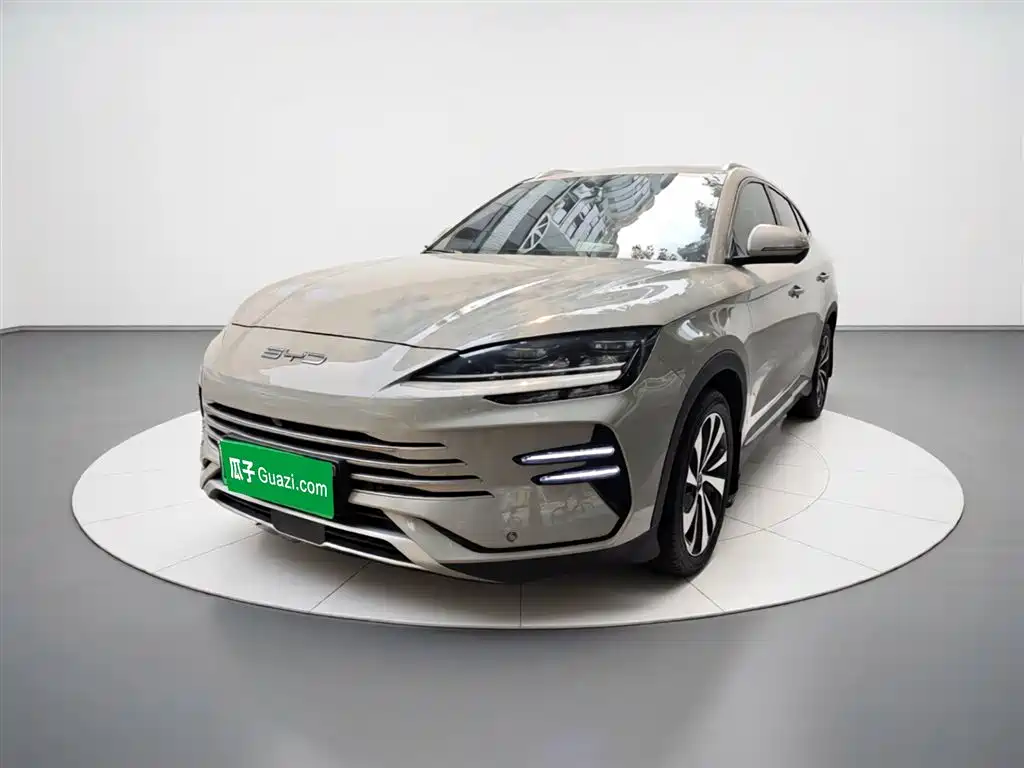 BYD PLUS New Energy 2023 — фото 2