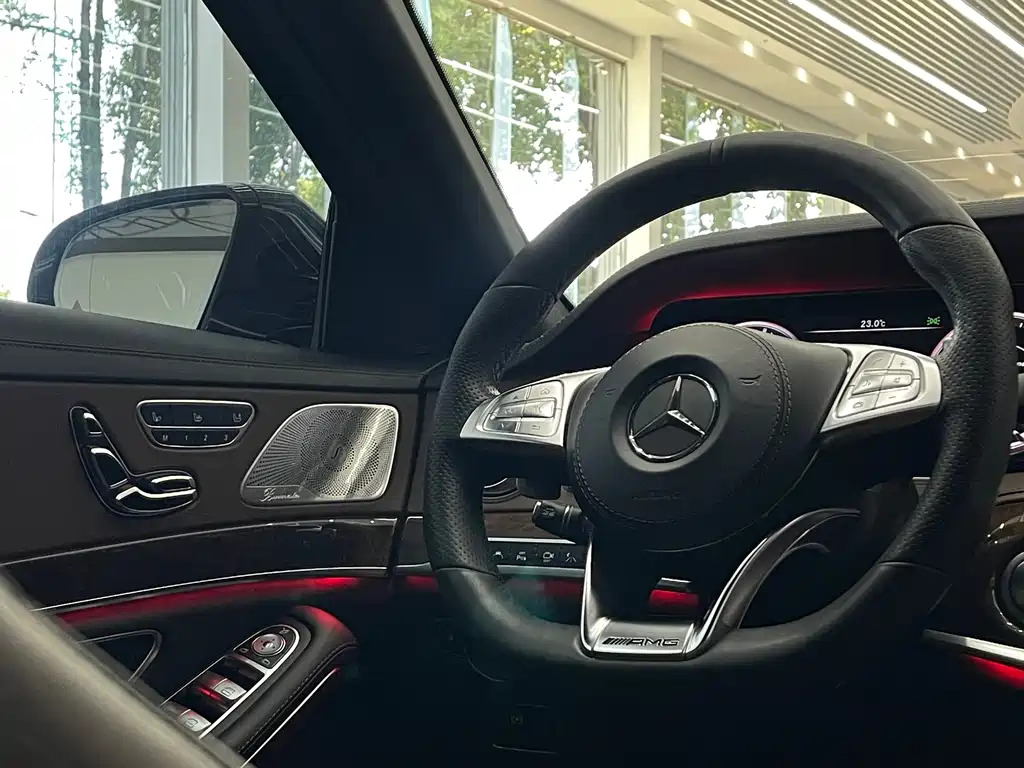 Mercedes-Benz S-Class AMG 2016 — фото 24