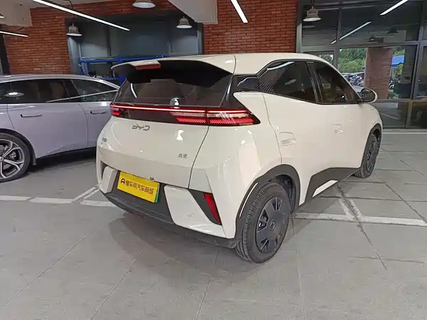 BYD Seagull 2026