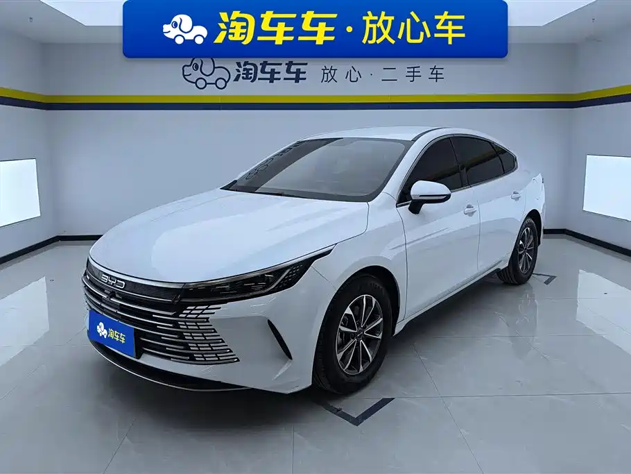 BYD Destroyer 05 2024 — фото 1