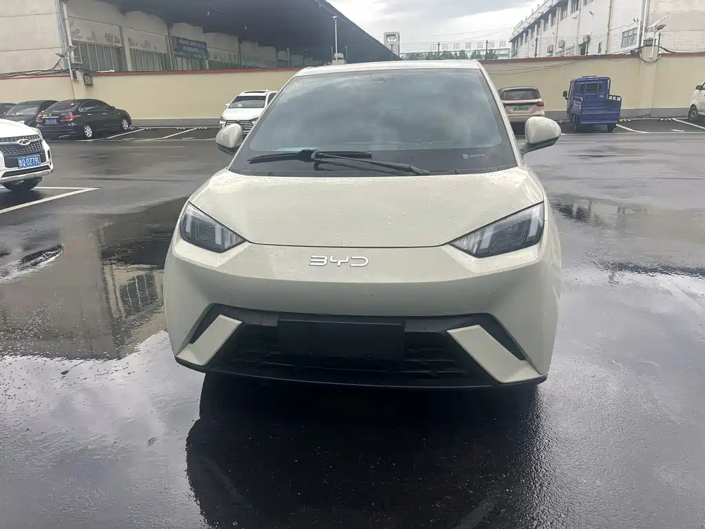 BYD Seagull 2024