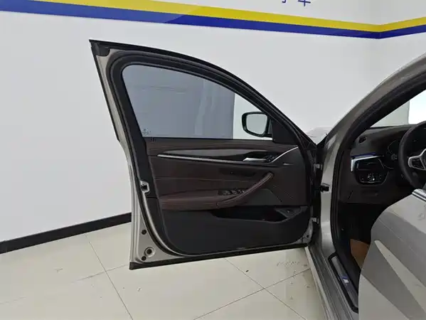 BMW 5 Series 2021