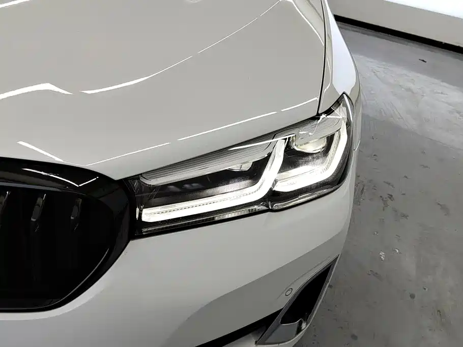 BMW 5 Series New Energy 2021