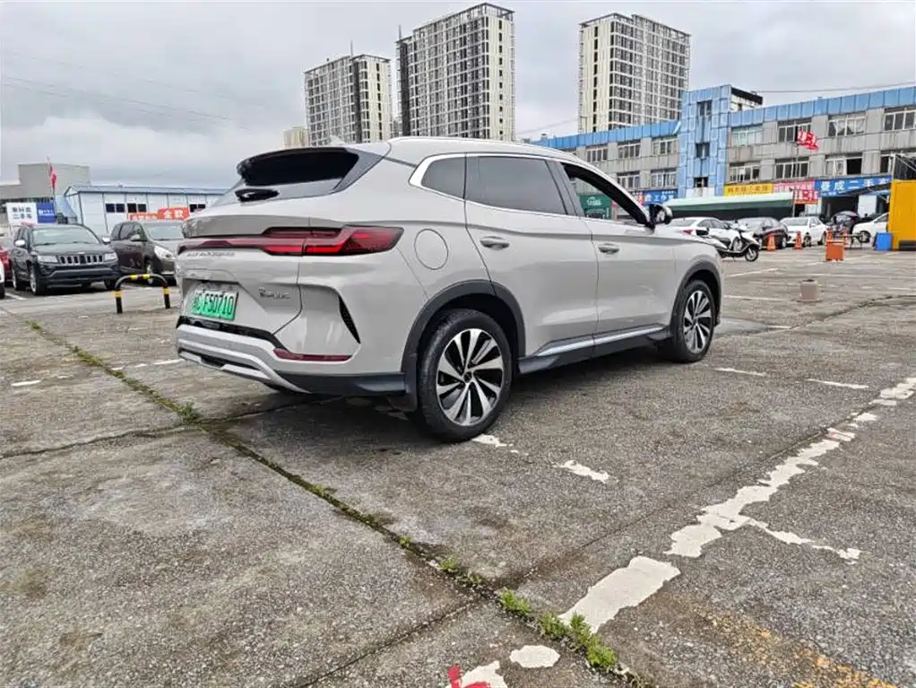 BYD PLUS New Energy 2024 — фото 4