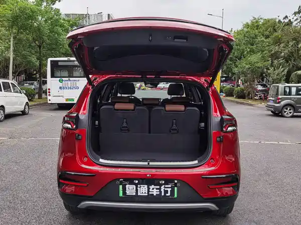 BYD Tang New Energy 2021