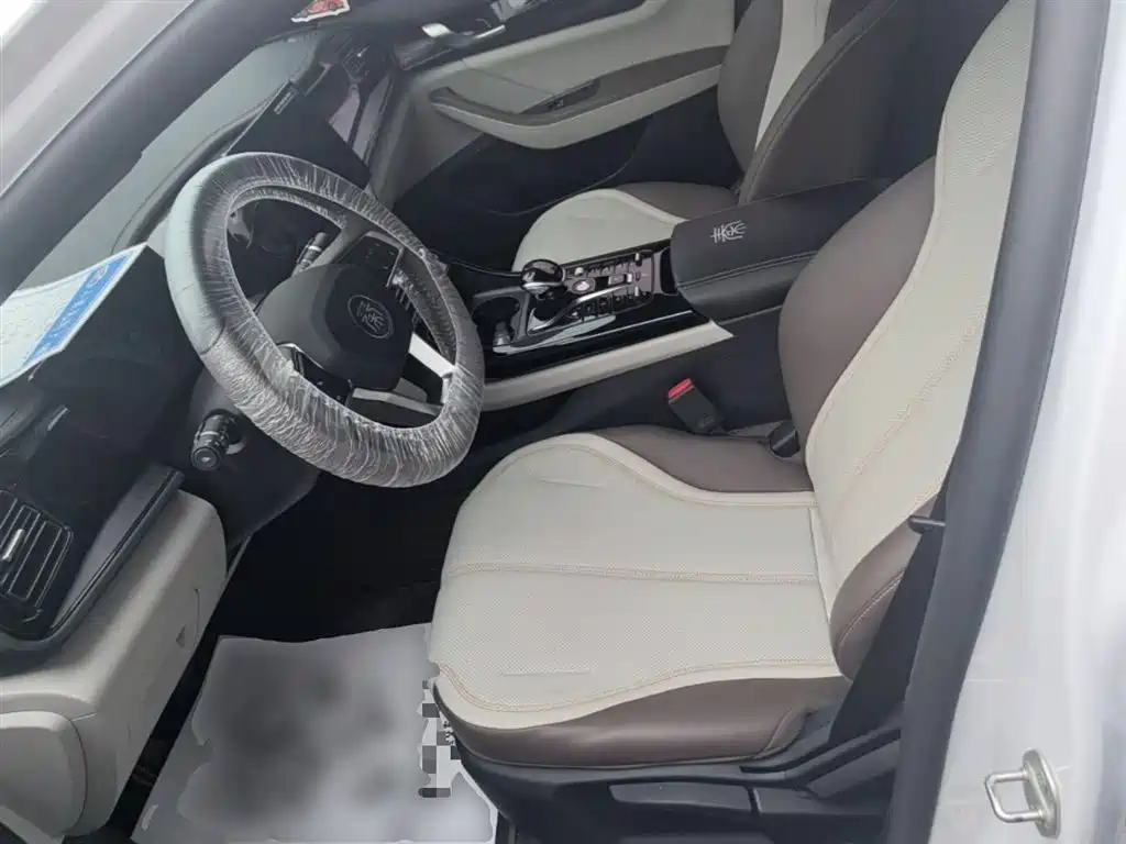 BYD Qin PLUS 2024 — фото 15