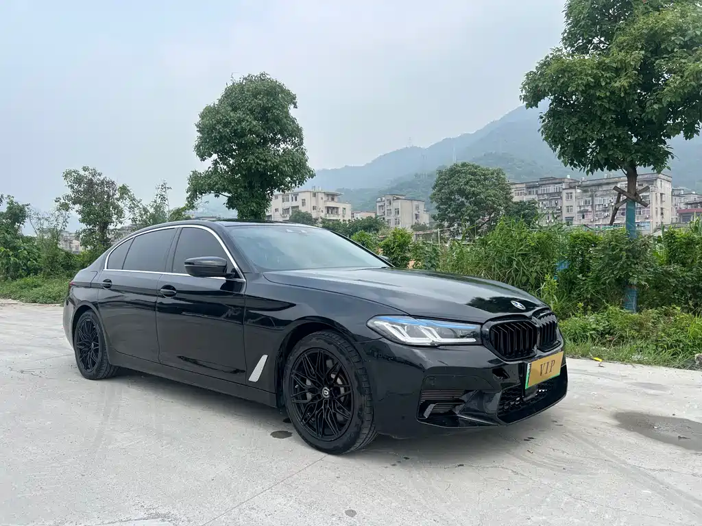BMW 5 Series New Energy 2020