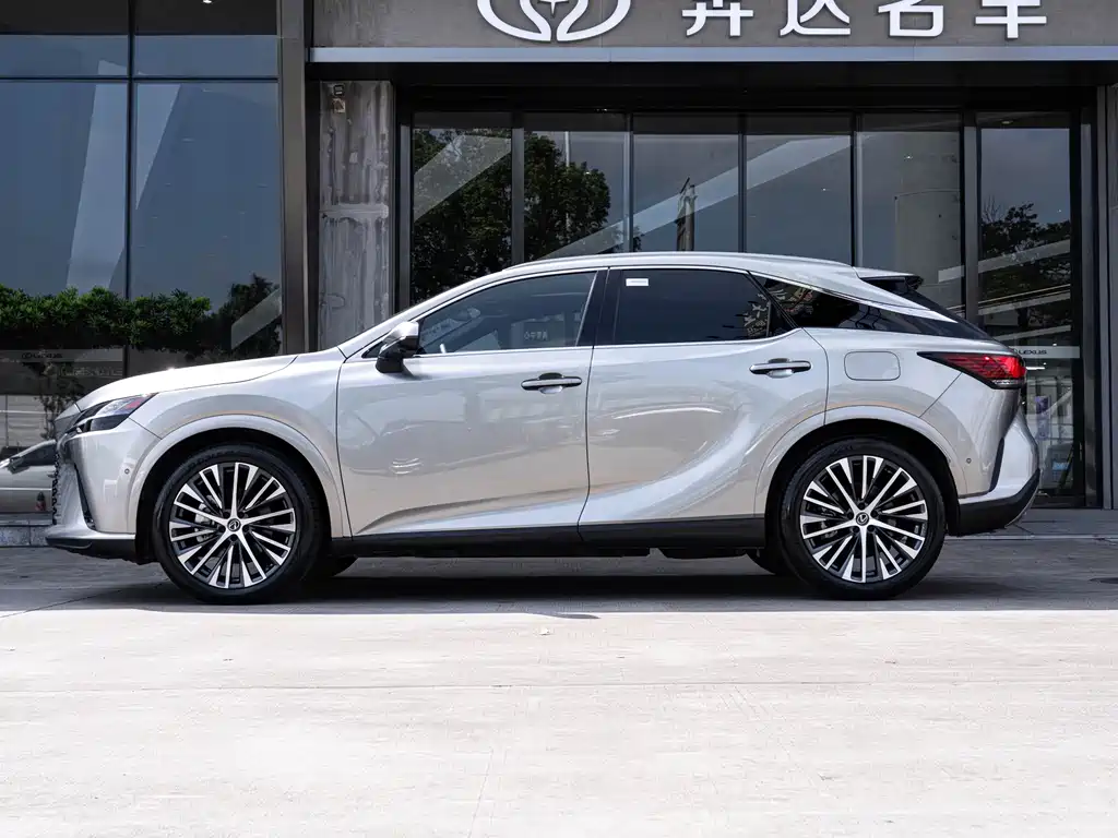 Lexus RX New Energy 2023 — фото 4