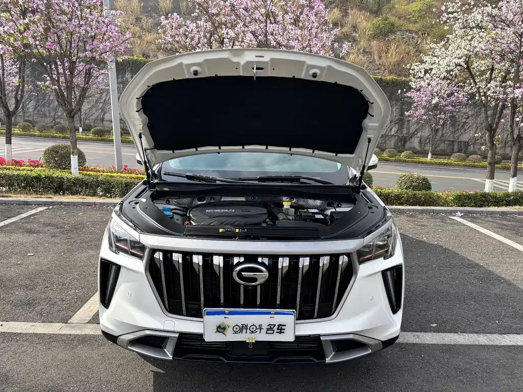 GAC Motor GS4 Plus 2024 — фото 14