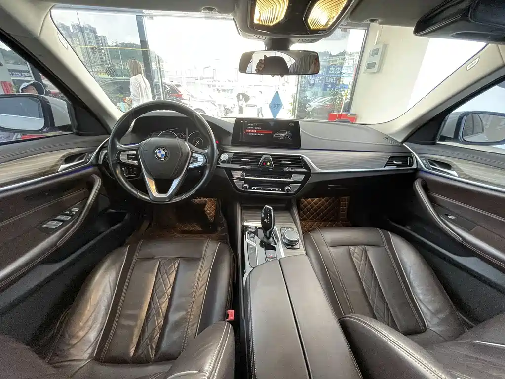 BMW 5 Series New Energy 2019