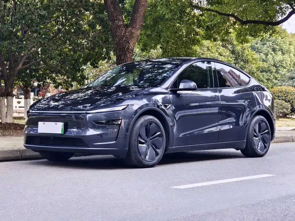 Tesla Model Y 2025 — фото 1