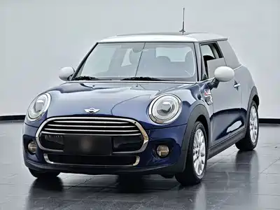 MINI MINI 2015
